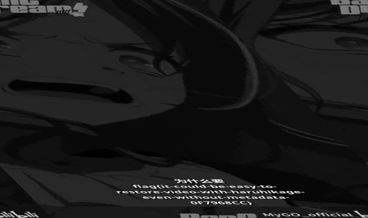 video_stream_flag
